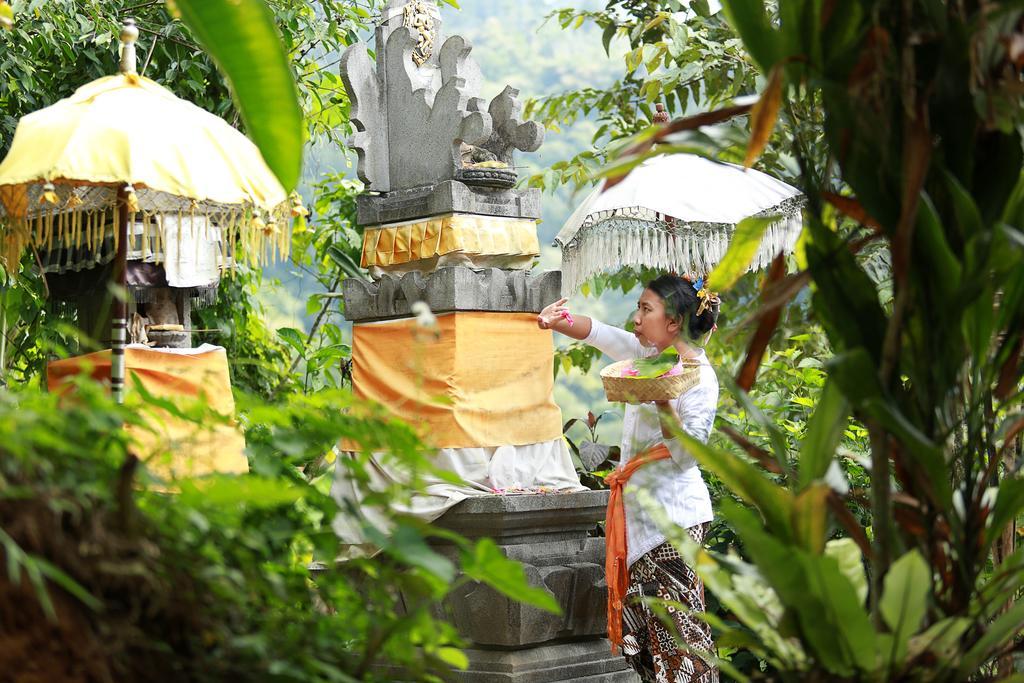 Sang Giri Mountain Tent Resort Jatiluwih Exteriér fotografie