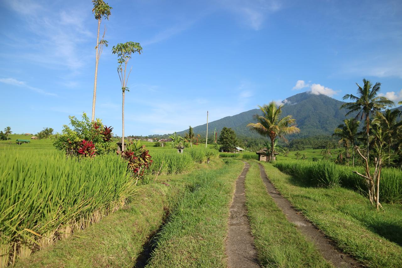 Sang Giri Mountain Tent Resort Jatiluwih Exteriér fotografie