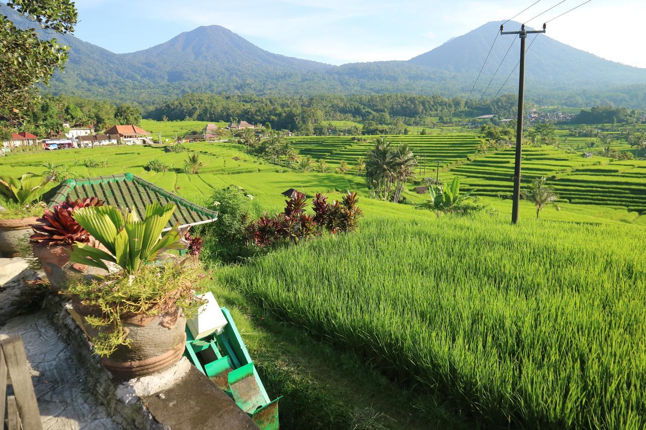 Sang Giri Mountain Tent Resort Jatiluwih Exteriér fotografie