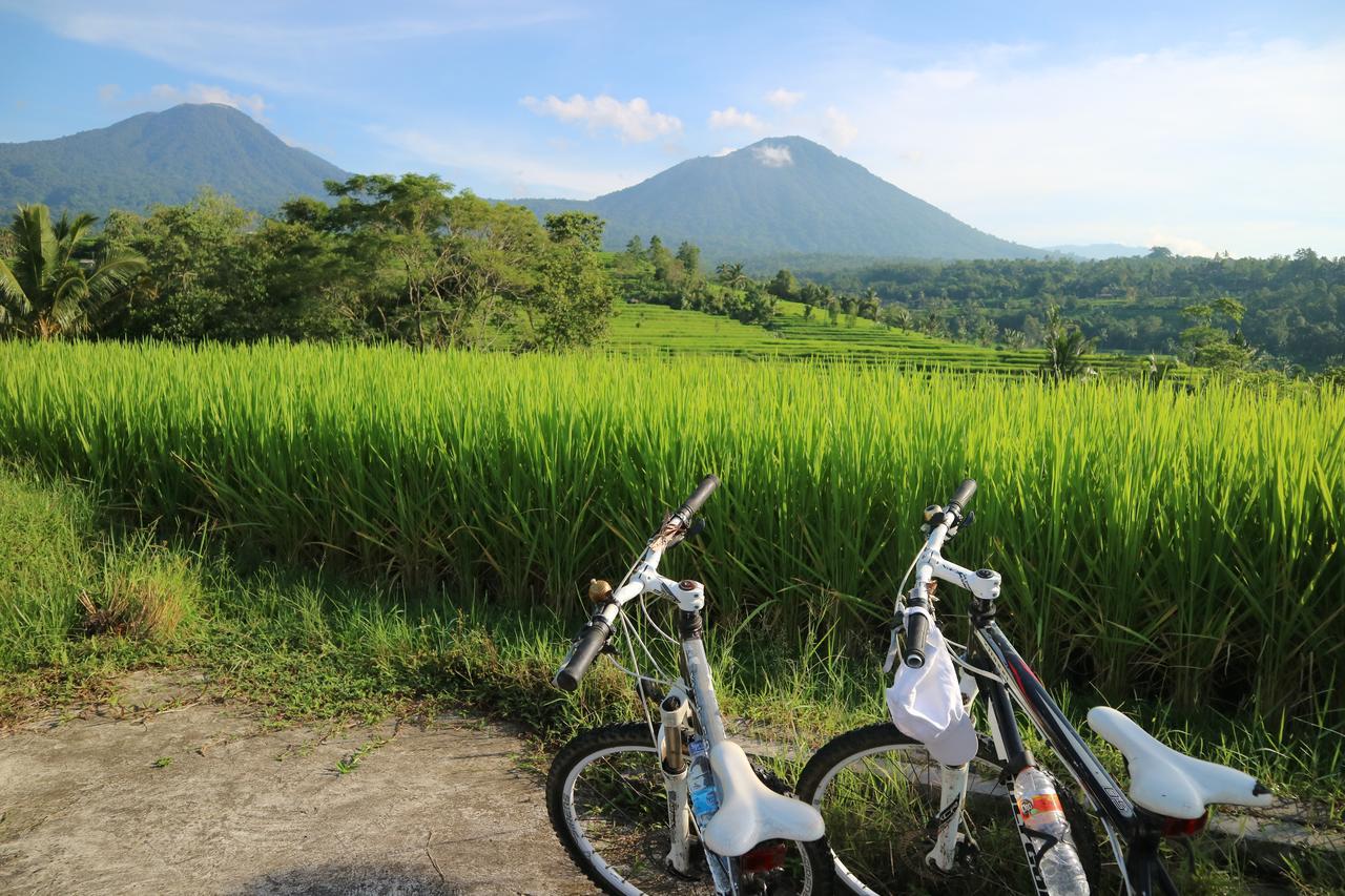 Sang Giri Mountain Tent Resort Jatiluwih Exteriér fotografie